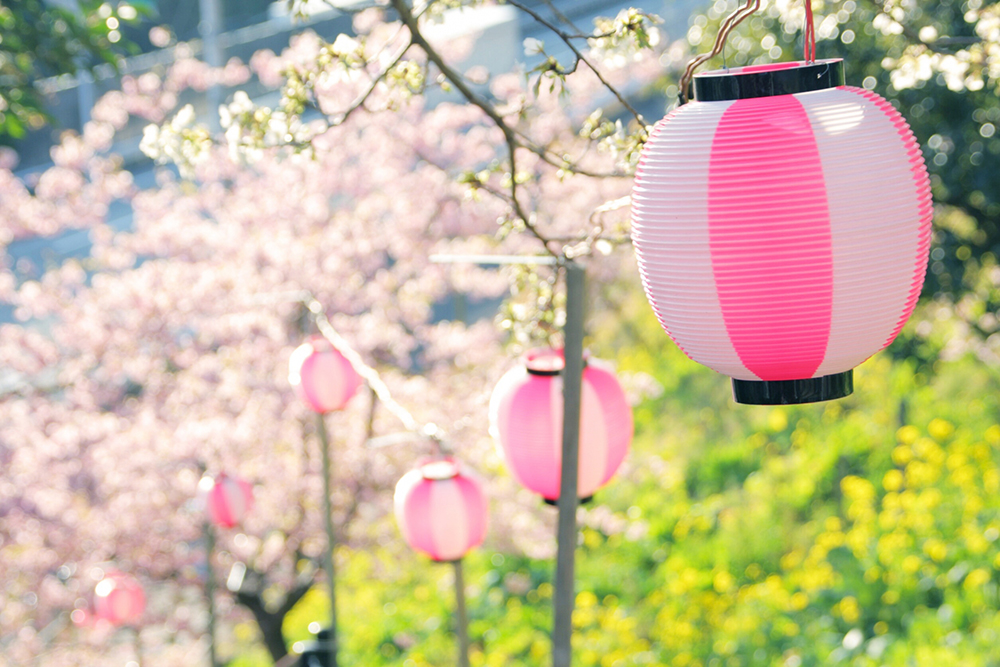 2019桜祭り埼玉(川口周辺)5選！屋台・模擬店・フリマ開催情報