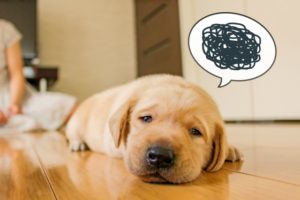 喉が詰まる感じで息苦しい症状は何科に行けばいい？病名・薬・対処法は？