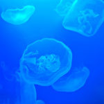 雑念を払う方法「数息法」とは?強制的に気持ちをクールダウンさせる気功