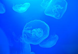 雑念を払う方法「数息法」とは？強制的に気持ちをクールダウンさせる気功