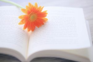 やる気が出ない寝てばっかりの時に最適なスピリチュアル本15選！