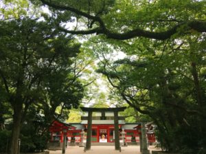 氏神様の調べ方。郵便番号や住所でネット検索可能な公式サイト一覧